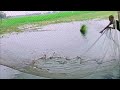 Amazing Fishing Technique catching huge fishes by net fishing 2024.