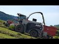 Uphill grass silage for Claas Jaguar 980 sheep and 5 John Deere and Case IH tractors