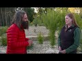 Visiting an amazing banksia themed garden | Australian native plants | Gardening Australia
