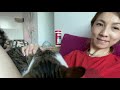 Daily Cat Care Basics & Routines with Multiple Cats