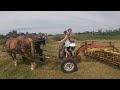 Jim has a New Apprentice!! // A HUGE Field to Hay with Horses