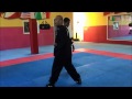 Wing Chun footwork using male and female triangle steps