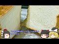 コロナバブル・ショックの現在【ゆっくり解説】