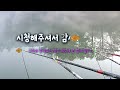 졸음이 부른 대참사, 쑥대밭, 2024.2.18