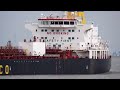 51 MINUTES OF AMAZING SHIPPING TRAFFIC AT WALSOORDEN, WESTERN SCHELDT 4K SHIPSPOTTING JULY 2024