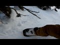 Chill tree run on the Rome Ravine, Powder King BC