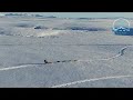 Dogsledding Iceland  2019