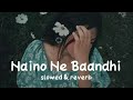 Naino Ne Baandhi 🙃 ( Slowed & Reverb ) lofi song