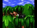 [Misc] Donkey Kong Country Corruptions (Part 1 of ?)