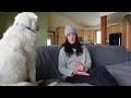 Rescuing Great Pyrenees | FOUNDER OF UNEGA TIFFANY LARSON