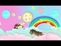 CUTE CAT LITTLE KITTEN ADVENTURE - ANIMATED STORY OF A GREAT CAT AND PET CARE