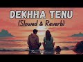 Dekhha Tenu (Slowed & Reverb) | Mr. & Mrs. Mahi | Mohammad Faiz | Jaani | Zesan Rahaman