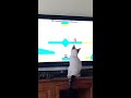 Kitten watching Television 🐱🖥