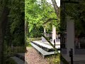 針名神社・茅の輪くぐり Shrine