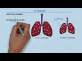 Uitleg examenstof biologie door SSL: ademhaling