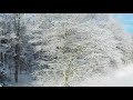 Snowy Morning Frozen Stream Drone
