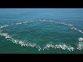 Surf Paddle out for Tim Oconner family