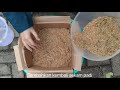 KKN Tim II Undip // Cara Membuat Kompos Skala Rumah Tangga dengan Metode Takakura