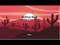 Yellow Bird If adventures and a great desert Music gamer