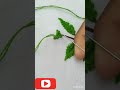 very Beautiful And Unique Hand Made embroidery green 💚 Flower Design Tutorial