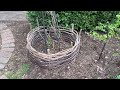 Easy DIY GARDEN Project: WATTLE FENCING