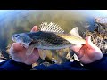 Wisconsin Walleye River Fishing Early Spring 2023