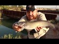 Are There Still Big Fish in This Desert Canal? (Unexpected)