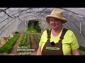 Successful with permaculture? - The Frankfurt City Farm | documentary | experience