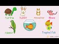 Learn 200+ Common Animals in English in 25 Minutes