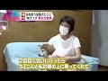 飼育放棄…売れ残り…人間に翻弄される犬たちに、幸せな出会いを―