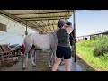 ☀️ Summer BARN VLOG | 17 weeks PREGNANT come spend time with me & my horses 🐴