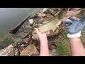 Northern Pike fishing In Wisconsin