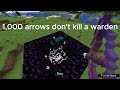 Can 1,000 arrows kill the Warden?!