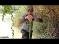 solo building a shelter in the bushes #survival #camping #bushcraft