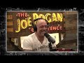 Japan's Population Decline Is Getting Out Of Hand | Joe Rogan & Rampage