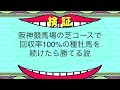 【競馬検証】阪神芝コースで回収率100%超える種牡馬を買い続けたら勝てる説【必勝法】