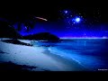 Crickets at the Beach | Binaural Nighttime Ambience | Summer time