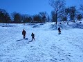 Sledding at Dorothea Dix in Raleigh