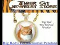 The Touching Story of Big Red the Cat- it will make you cry if you have a heart!