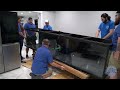 INSTALLING A 11 FOOT LONG MONSTER AQUARIUM FOR OZZIE ALBIES!!! OVER 500 GALLONS!! - PREMIER AQUATICS