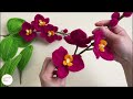 DIY Flower - How to make a Phalaenopsis orchids with Pipe cleaner ( chenille )#hmstation