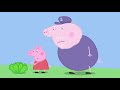 Peppa Wutz ⭐ Tolle Zusammenstellung 4 ⭐ Peppa Pig Deutsch Neue Folgen | Cartoons für Kinder