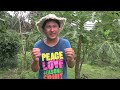 Epic Food Forest Tour: Abundant Fresh Fruits & Vegetables After 1 Year