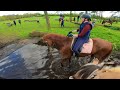 VOOR HET EERST CROSSEN op het VOLWASSEN PONYKAMP! | KAMPVLOG #03