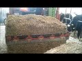 Przywóz kukurydzy  , Zetor 5340 [HD]