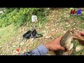 Lama tak masuk spot ni | catch and sale ikan purba #wms-323