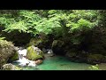 【Relaxing in nature4】〜大自然でリラックス4〜Gifu,Japan,岐阜県山県市「円原川」Enbara River,川のせせらぎ、鳥のさえずりで、のんびりと。