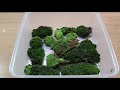 making an waterfall paludarium with mist maker