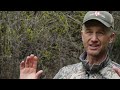 Elk Hunting in Grizzly Bear Country with Randy Newberg