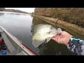 HEAVY Cover CRAPPIE | VERTICAL JIGGING